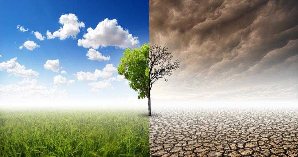 Eco-anxiety: The Ramifications of Climate Change on Mental Health